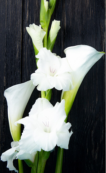 image (32)
